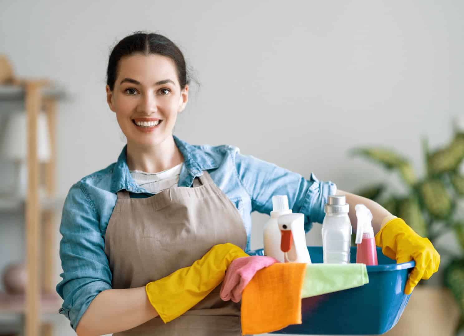 Beautiful young woman doing cleaning the house.